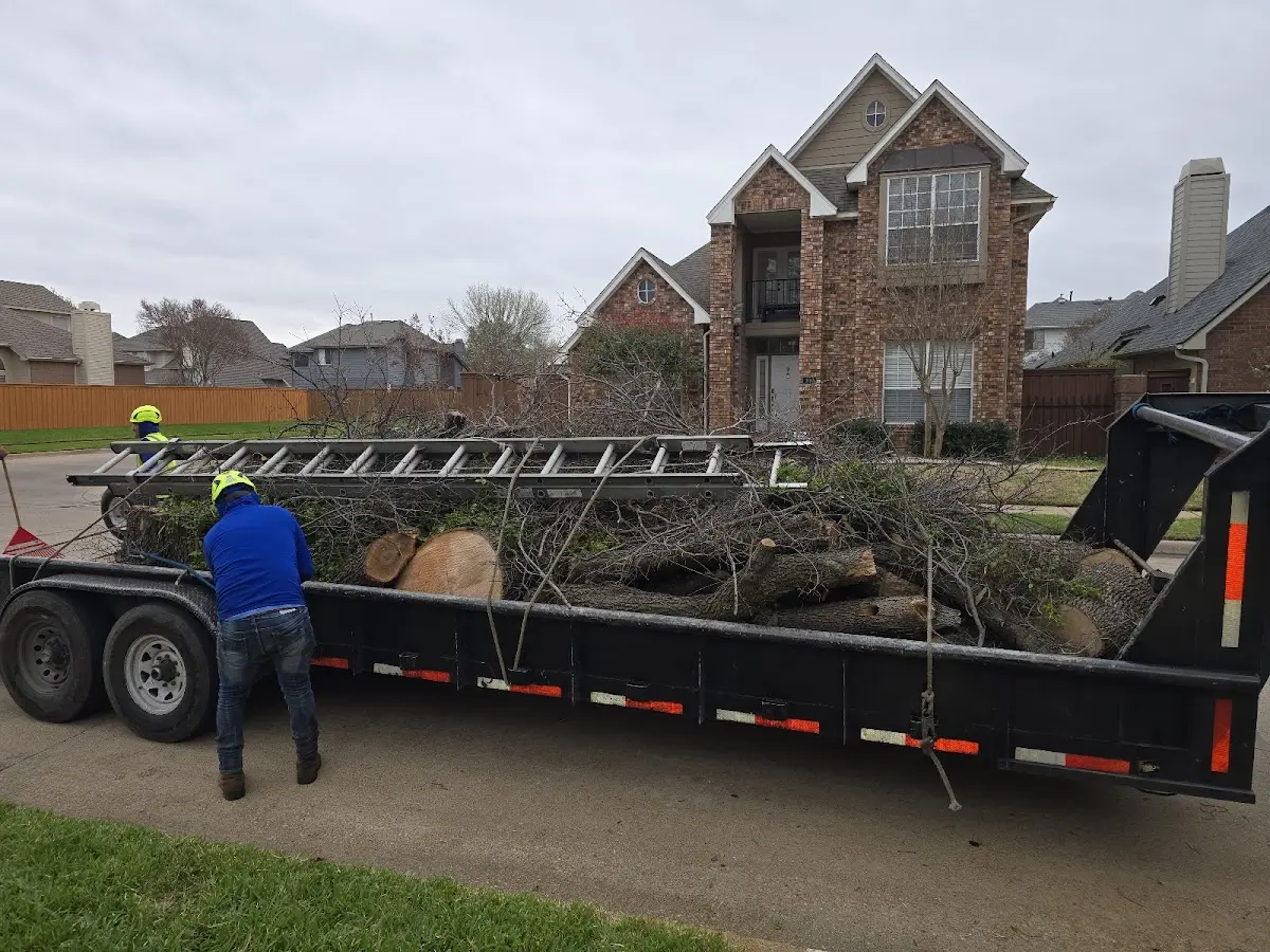 Expert Crown Reduction with proper safety equipment in Pleasant Dale
